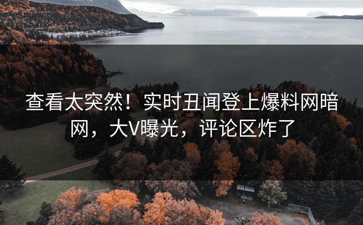 查看太突然！实时丑闻登上爆料网暗网，大V曝光，评论区炸了