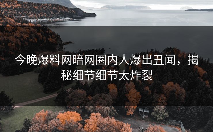 今晚爆料网暗网圈内人爆出丑闻，揭秘细节细节太炸裂