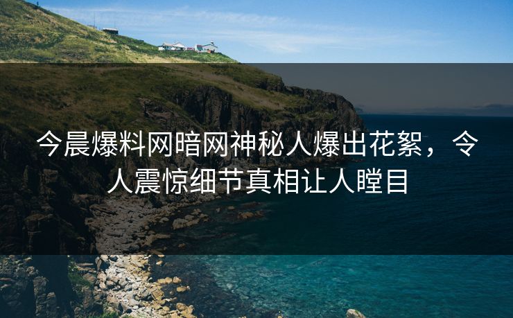 今晨爆料网暗网神秘人爆出花絮，令人震惊细节真相让人瞠目