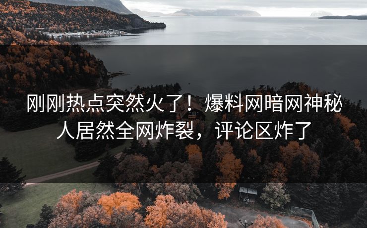 刚刚热点突然火了！爆料网暗网神秘人居然全网炸裂，评论区炸了