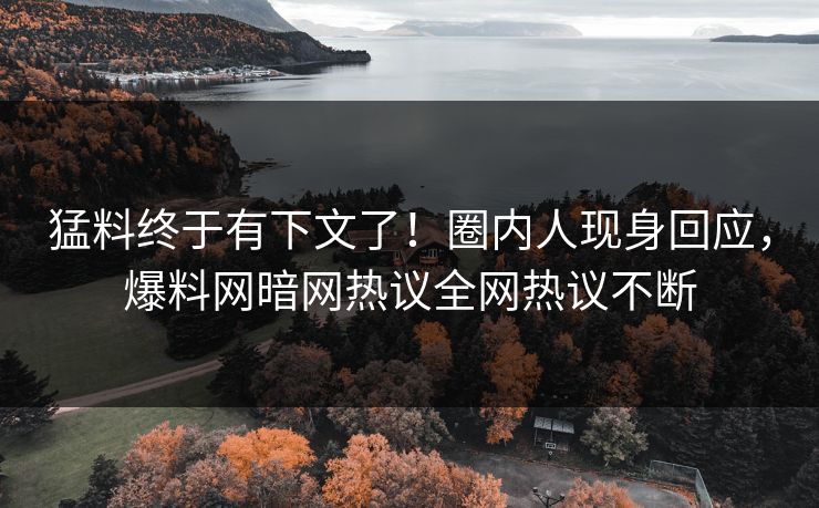 猛料终于有下文了！圈内人现身回应，爆料网暗网热议全网热议不断