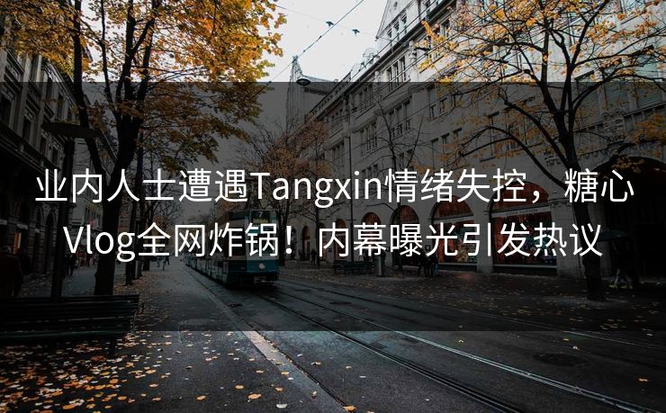 业内人士遭遇Tangxin情绪失控，糖心Vlog全网炸锅！内幕曝光引发热议