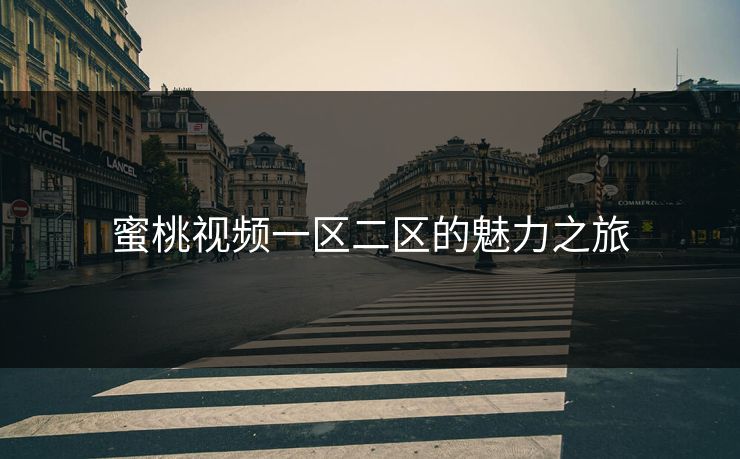 蜜桃视频一区二区的魅力之旅