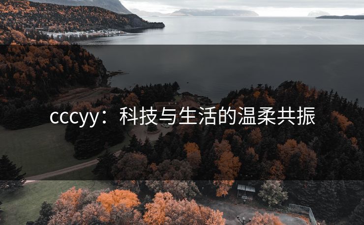 cccyy：科技与生活的温柔共振