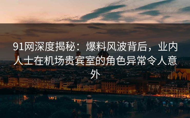 91网深度揭秘：爆料风波背后，业内人士在机场贵宾室的角色异常令人意外
