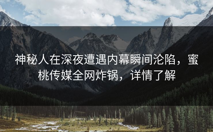 神秘人在深夜遭遇内幕瞬间沦陷，蜜桃传媒全网炸锅，详情了解