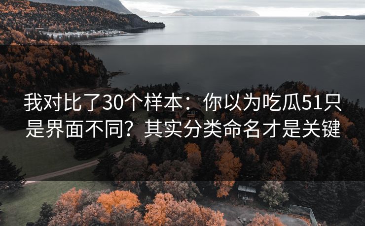 我对比了30个样本:你以为吃瓜51只是界面不同?其实分类命名才是关键 我对比了30个样本:你以为吃瓜51只是界面不同?其实分类命名才是关键